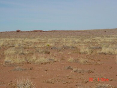 Turquoise Ranch