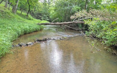 1443 Cutcane Rd, Mineral Bluff, GA 30559 - photo 2