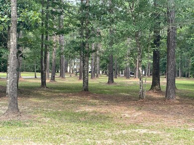 73 Horse Creek Rd, Mc Henry, MS 39561 - photo 4