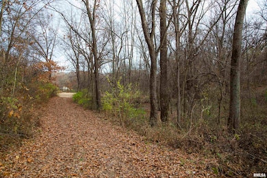 0000 W Smithville Rd, Trivoli, IL 61569 - photo 2