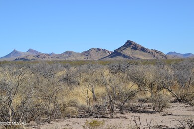 DSC_0041
