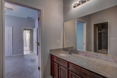 12501 Hammock Pointe Cir, Clermont, FL 34711 - photo 6