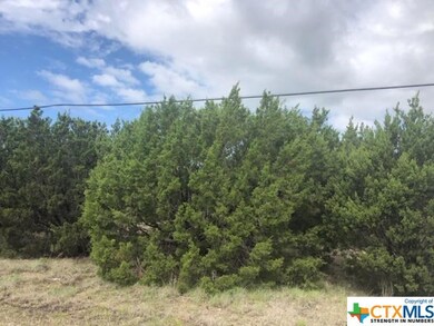 1.34 Acres Bluestem Dr, Copperas Cove, TX 76522 - photo 2