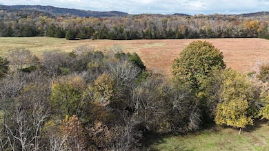 2520 Brown Shop Rd, Petersburg, TN 37144 - photo 4