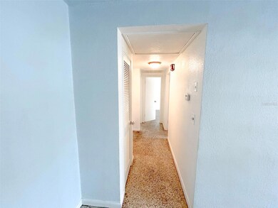 2916 W Paris St unit 1, Tampa, FL 33614 - photo 5