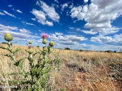 5494 Glasglow Dr, Snowflake, AZ 85937 - photo 2