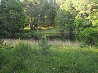 732 acre U S Highway 82, Eufaula, AL 36027 - photo 2