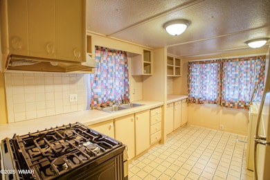 387 W Summer Haven Ln, Pinetop-Lakeside, AZ 85929 - photo 5