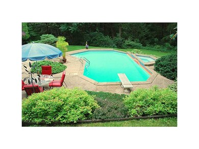 Pool. Spacious patio