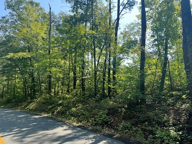 #1 Ambler Rd, Lousia, VA 23093 - photo 3