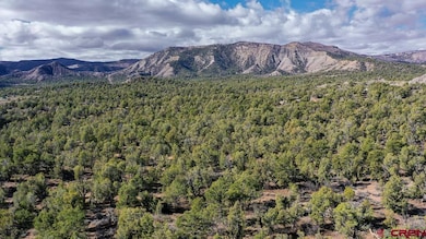 TBD Green Shadows Rd, Durango, CO 81303 - photo 4