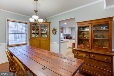 3 Webster Ct, Fredericksburg, VA 22407 - photo 6