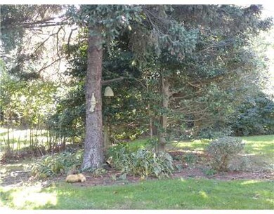 Yard/Garden.