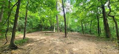 ac Laurel-Point Isabel Rd, Moscow, OH 45153 - photo 6