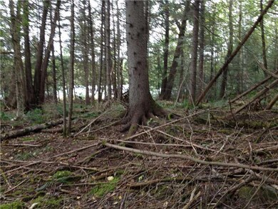 Land/Lot.