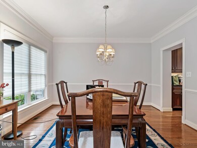 25638 Creek Run Terrace, Chantilly, VA 20152 - photo 4