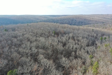 Tbd County Road 118, Annapolis, MO 63620 - photo 7