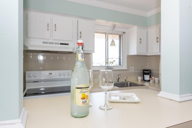 Yacht Harbor unit A2, Sea Bright, NJ 07760 - photo 6