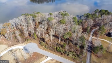 LOT 24-A River Point Rd unit LOT 24-A, Jackson, GA 30233 - photo 2