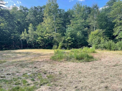 491 Whitneyville Rd, Halifax, VT 05358 - photo 5