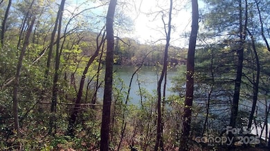 Lot 5 Dars Ln unit 5, Tuckasegee, NC 28783 - photo 4