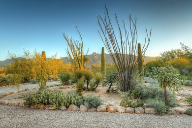 Via E desert