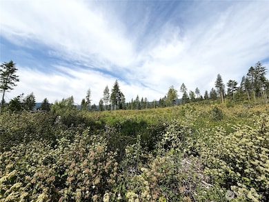 0 Rockabye Ln, Curlew, WA 99118 - photo 2