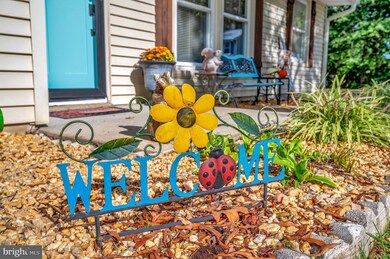 4 Wilson Ct, Fredericksburg, VA 22407 - photo 7