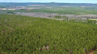 Drone / aerial view featuring a mountain view