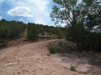20 Paseo de San Antonio Rd, Placitas, NM 87043 - photo 3