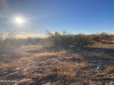 8350 Howling Coyote Trail, Tucson, AZ 85735 - photo 3