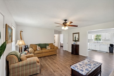 3448 Mahlon Moore Rd, Spring Hill, TN 37174 - photo 3