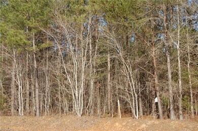 4962 Oak Grove Church Rd, Asheboro, NC 27205 - photo 6