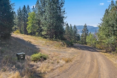 17-1894 beach view way-kettle falls