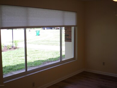 Huge PIcture Window