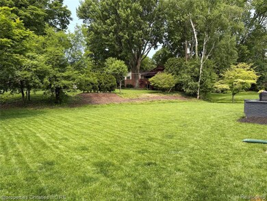 View of grassy yard with view of scattered trees