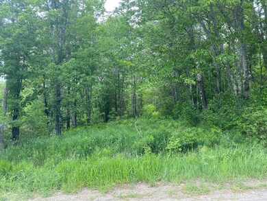 image00002