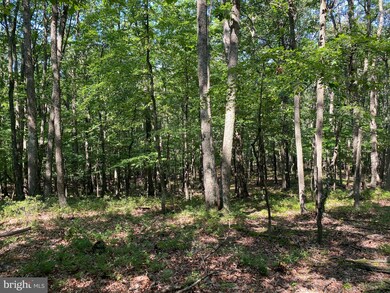 9 & 22 Mount Top Rd, Lost River, WV 26801 - photo 6