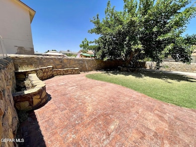 patio 3 tierra humeda