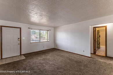319 N Moore St, Bloomfield, NM 87413 - photo 4