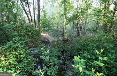 0 Kings Mill Rd unit 6 10547516, Wrens, GA 30833 - photo 7