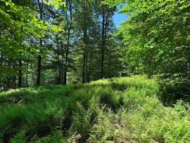 0 Spruce Grove Rd unit 5035135, Wilmington, VT 05363 - photo 7