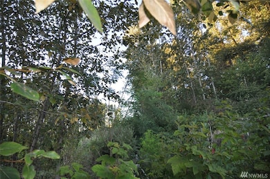 8 Garfield St, Sumas, WA 98295 - photo 2