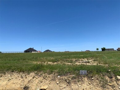 308 El Pescado Ct, Godley, TX 76044 - photo 3