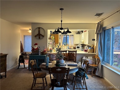 1505 Swiss Village Rd unit 3A, Osage Beach, MO 65065 - photo 6