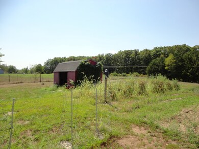 garden-pasture area & shed