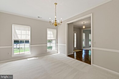 7037 Bedrock Rd, Alexandria, VA 22306 - photo 5