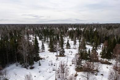 Tract 5 Aspen St, Kenai, AK 99611 - photo 5
