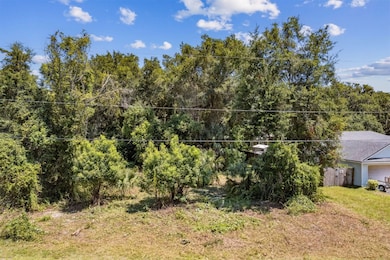 779 Grove Park Cir, Fernandina Beach, FL 32034 - photo 3