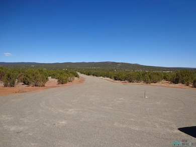 Tr 2A Camino Del Sol Rd, Bernal, NM 87569 - photo 7